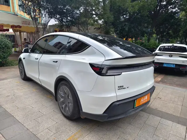 Tesla Model Y L — Фото автомобиля 6