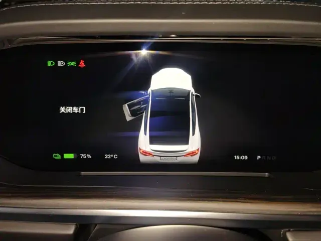 Tesla Model X — Фото автомобиля 14