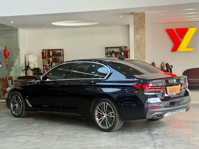 BMW 5 Series — Фото автомобиля 14