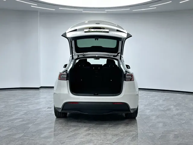 Tesla Model Y — Фото автомобиля 6