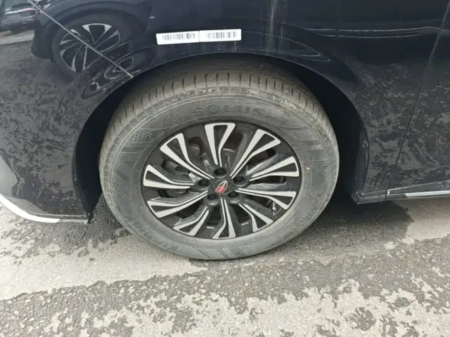 Hongqi Hongqi HQ9 PHEV 2024 Model 2.0T AWD Business Edition — Фото автомобиля 22