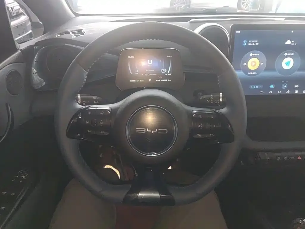 BYD Dolphin 2021 405km Freedom Edition — Фото автомобиля 6