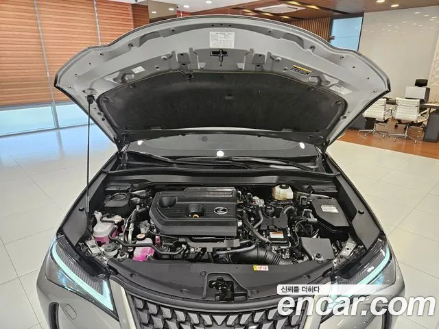 Lexus UX UX300h — Фото автомобиля 8