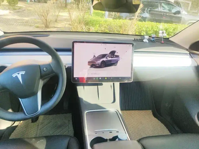 Tesla Model Y — Фото автомобиля 13
