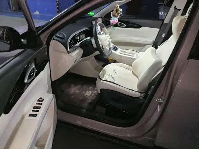 Geely Starry Wish — Фото автомобиля 8