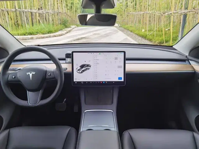 Tesla Model Y — Фото автомобиля 6