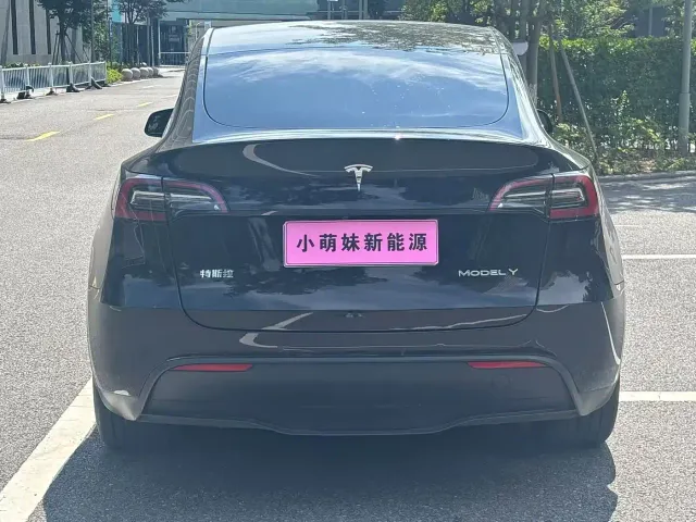Tesla Model Y — Фото автомобиля 19