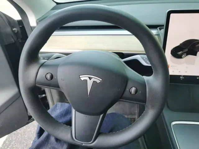 Tesla Model Y — Фото автомобиля 10