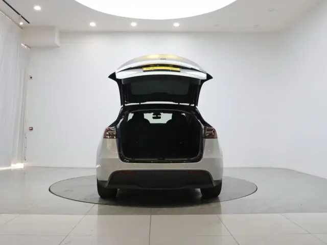 Tesla Model Y — Фото автомобиля 9