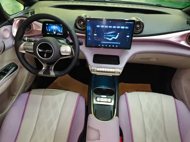 BYD Dolphin — Фото автомобиля 9