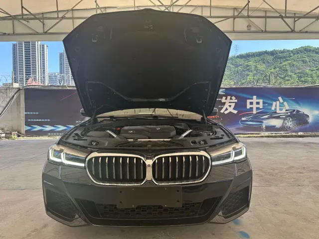 BMW 5 Series — Фото автомобиля 9