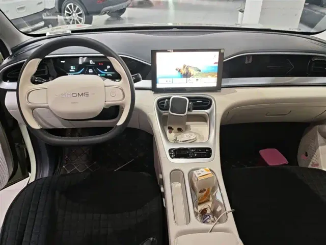 Geely Starry Wish — Фото автомобиля 9