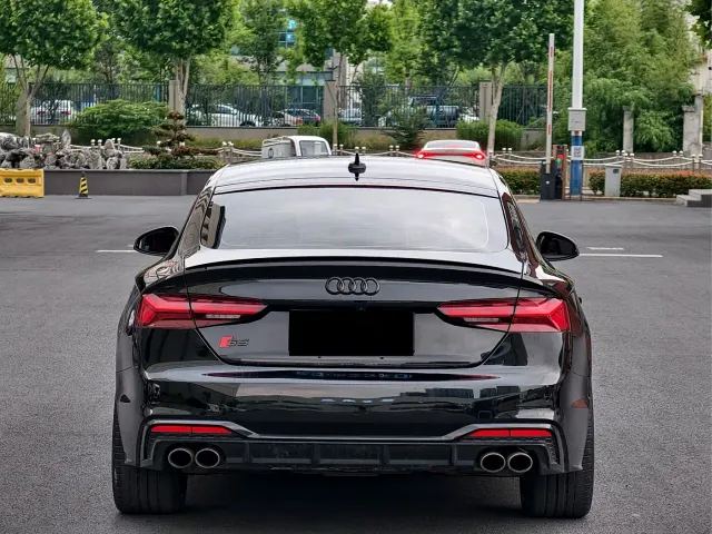 Audi S5 — Фото автомобиля 12