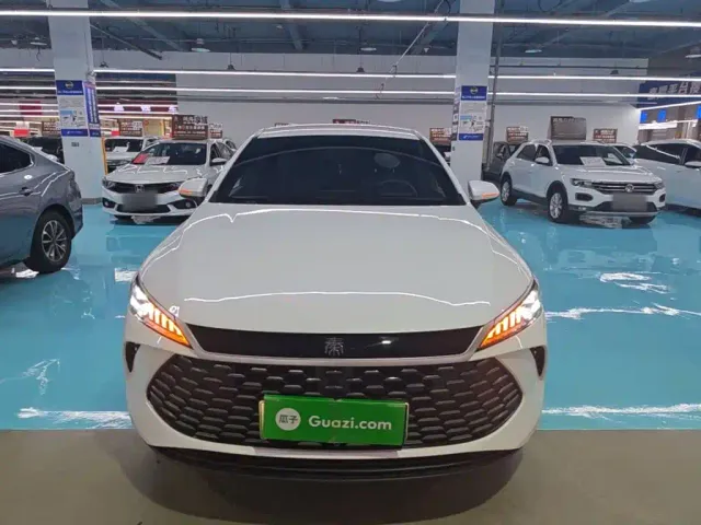 BYD Qin PLUS — Фото автомобиля 2