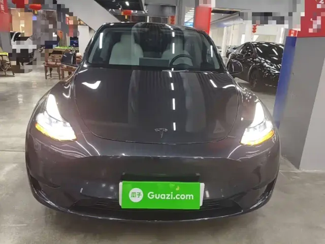 Tesla Model Y — Фото автомобиля 2