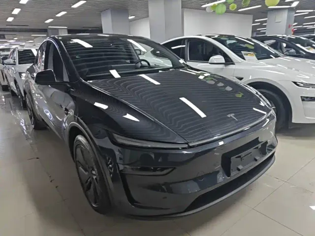 Tesla Model Y — Фото автомобиля 3