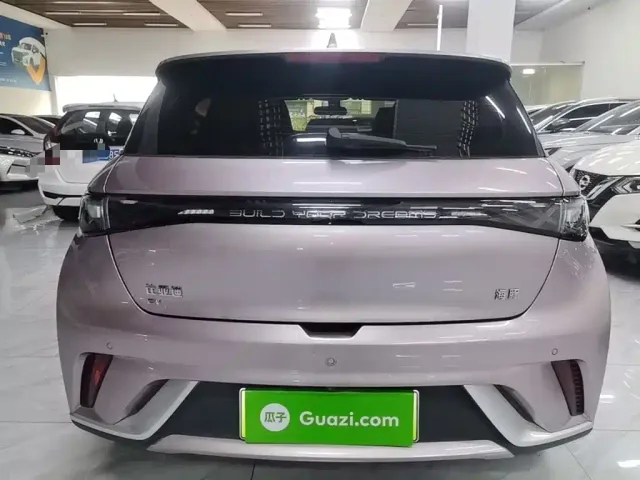 BYD Dolphin — Фото автомобиля 5