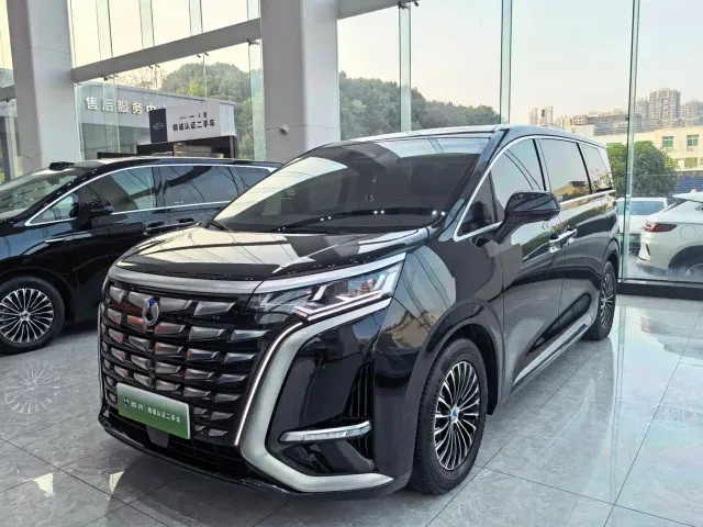 Фотография автомобиля — Denza D9