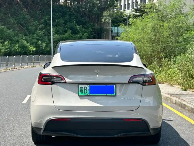 Tesla Model Y — Фото автомобиля 8