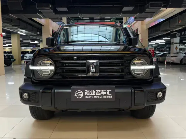 Tank Tank 300 2024 Model 2.0T Challenger — Фото автомобиля 2