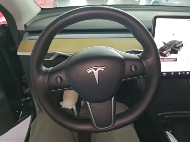 Tesla Model Y — Фото автомобиля 10