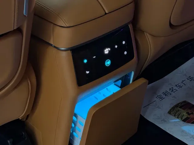 Wey Alpine — Фото автомобиля 12