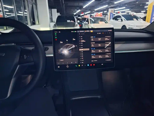 Tesla Model Y — Фото автомобиля 9