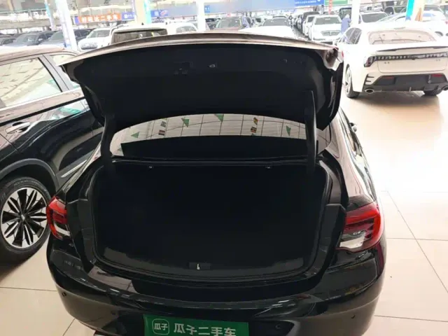 Buick Regal — Фото автомобиля 18