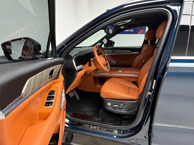 WEY Wey Lanshan 2023 2WD Long Range Edition — Фото автомобиля 15