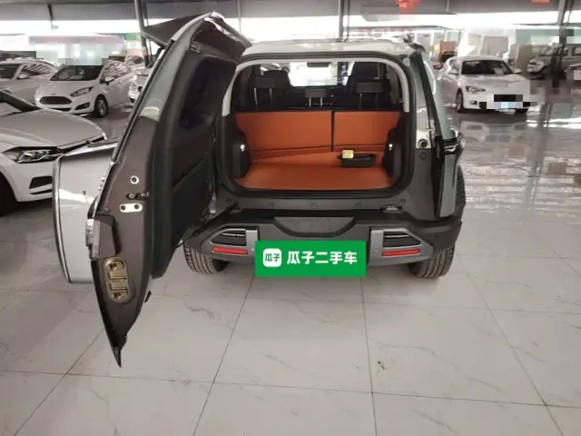BYD FangChengBao Titanium 3 — Фото автомобиля 18