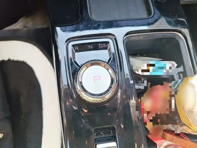 Haval Haval Big Dog 2022 1.5T DCT FWD Border Collie Edition — Фото автомобиля 6