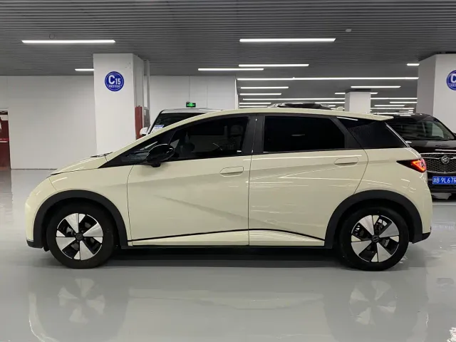 BYD Dolphin — Фото автомобиля 4