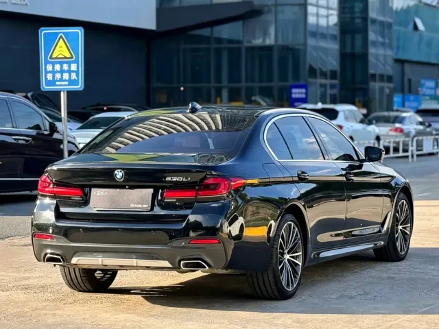 BMW 5 Series — Фото автомобиля 4