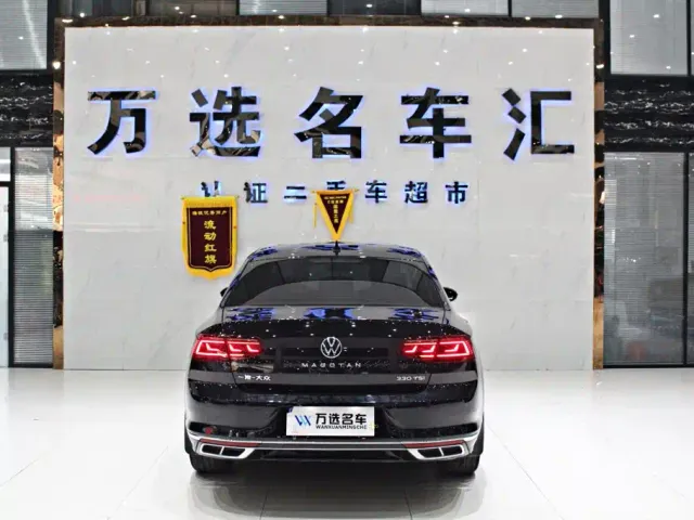 Volkswagen Magotan 2024 2 Million Units Public Sharing Edition 330TSI DSG Luxury — Фото автомобиля 14