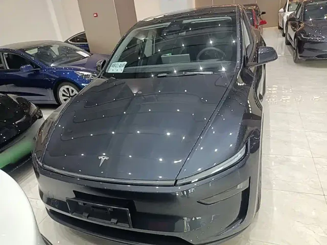 Tesla Model Y — Фото автомобиля 2
