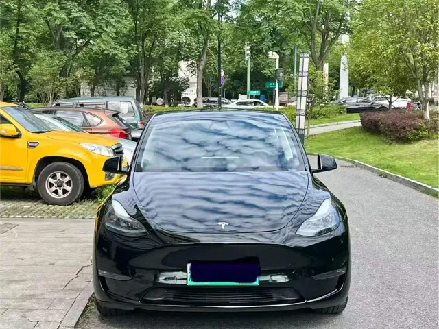 Tesla Model Y — Фото автомобиля 2