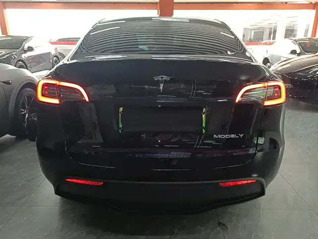 Tesla Model Y — Фото автомобиля 5