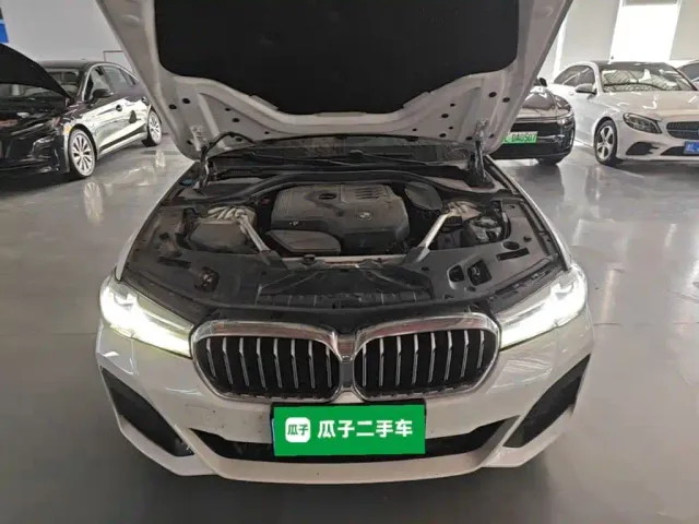 BMW 5 Series — Фото автомобиля 19