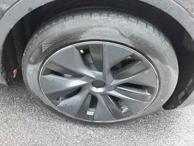 Tesla Model Y — Фото автомобиля 6
