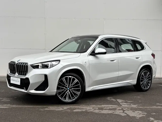 BMW X1 — Фото автомобиля 9