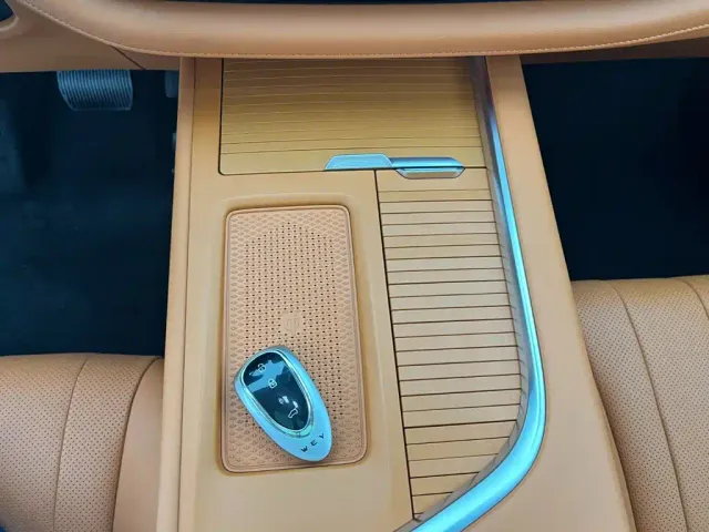 Wey Lanshan — Фото автомобиля 16