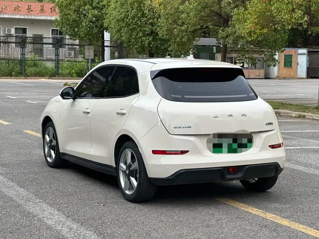 Ora Good Cat — Фото автомобиля 11
