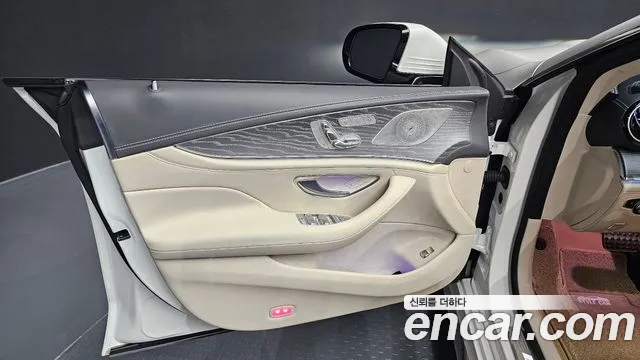 Mercedes-Benz AMG GT X290 (2018–2026) — Фото автомобиля 13