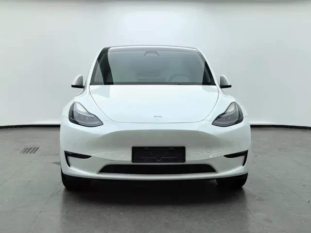 Tesla Model Y — Фото автомобиля 2