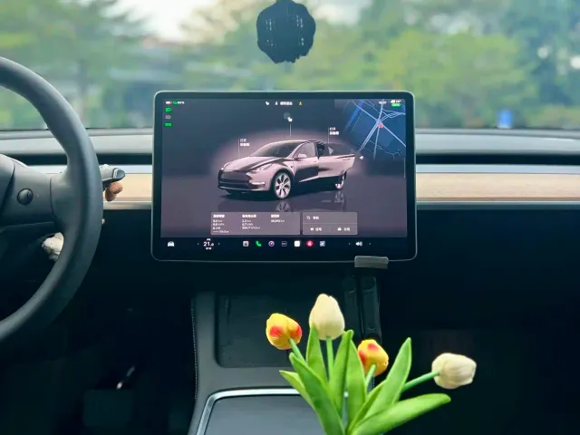 Tesla Model Y — Фото автомобиля 9