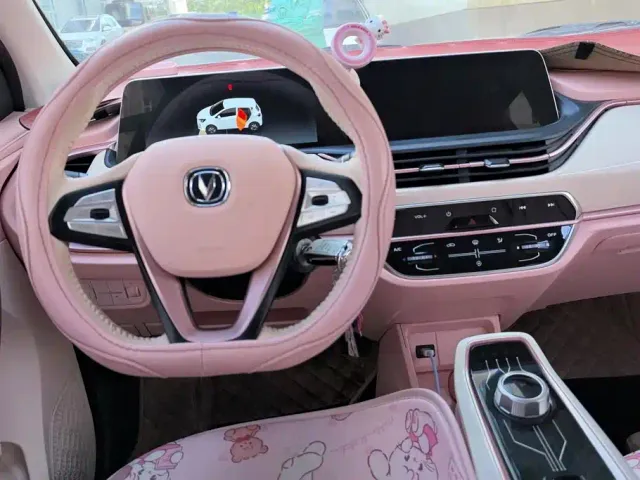 Changan Benben E-Star — Фото автомобиля 12