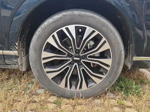 Wey Lanshan — Фото автомобиля 6