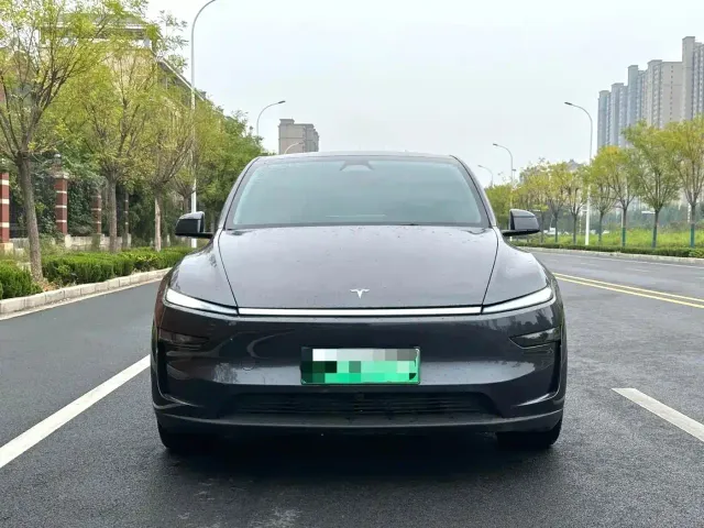 Tesla Model Y — Фото автомобиля 2
