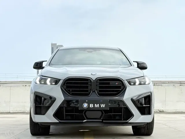 BMW X6 M — Фото автомобиля 2