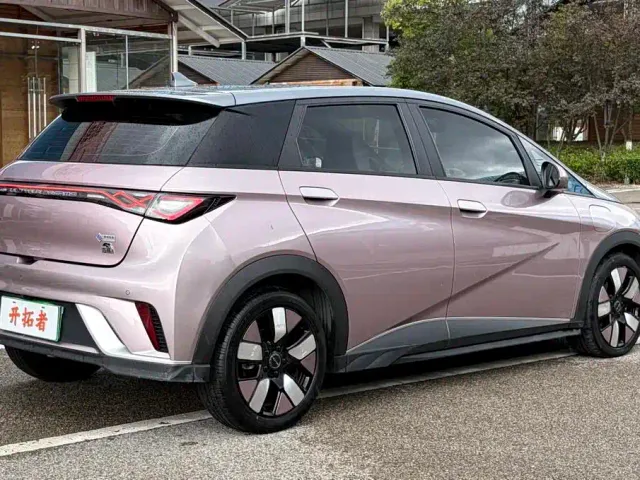BYD Dolphin 2021 401km Knight Edition — Фото автомобиля 14
